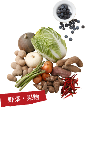 野菜・果物　漢方堆肥は野菜、果物の栽培にも適しています。自らが育てているレンコン、ご近所が育てているブルーベリーなど、各種野菜に使っています。